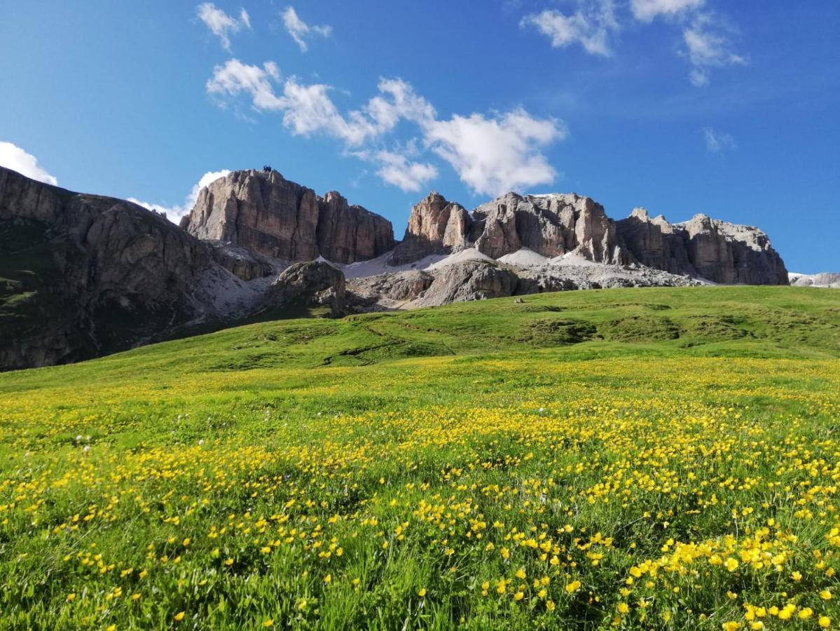 Hotel Col Di Lana كنازاي المظهر الخارجي الصورة